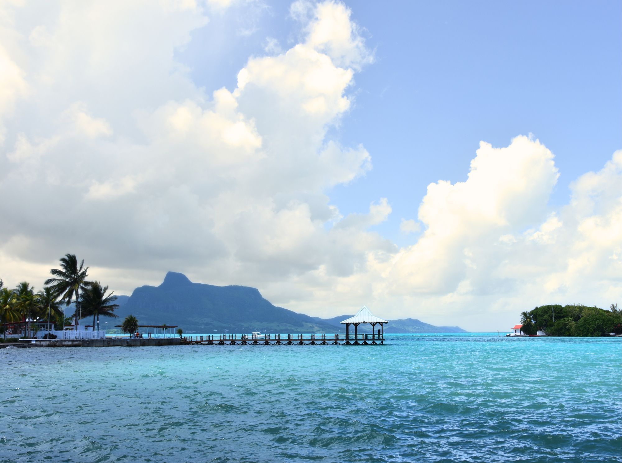 Bilder_bearbeiten_(439_x_327_mm).jpg