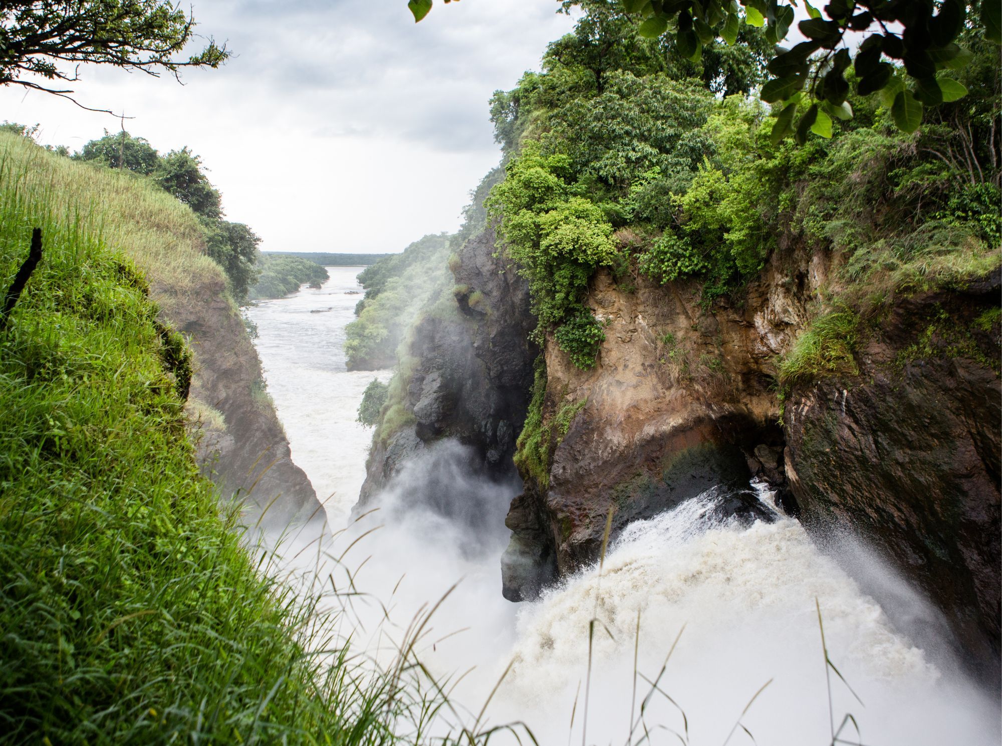 Wild & frei - Besondere Natur