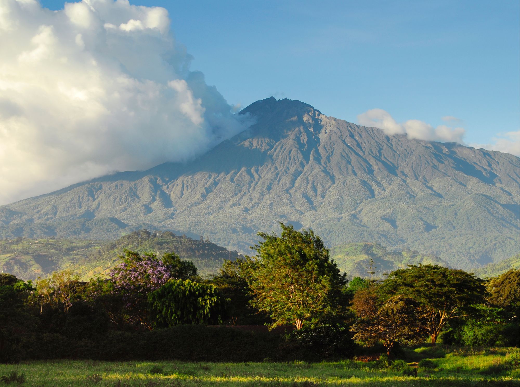 Mount_Meru_.jpg
