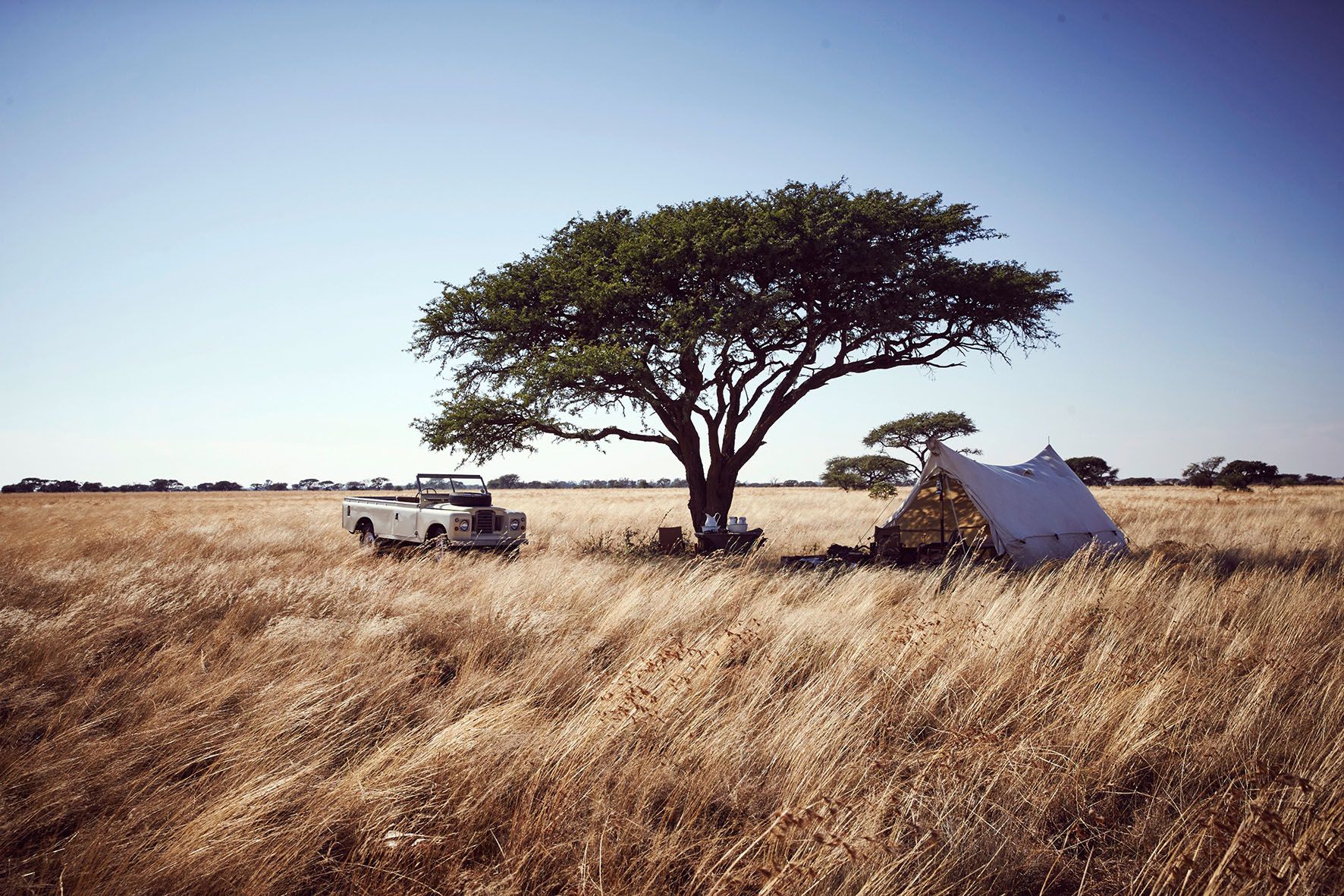 Akazie mit Jeep und Zelt