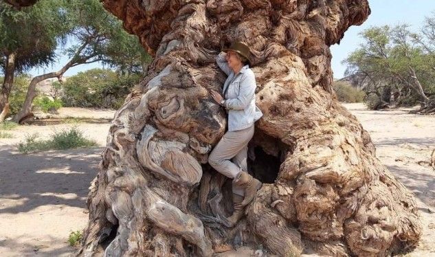 eine Reise nach Afrika ist immer mehr als ein „normaler Urlaub“, denn dieser Kontinent versprüht eine besondere Magie. Für die einen ist es eine Welt voller Abenteuer mit Wildtiersichtungen und spannenden Outdoor-Aktivitäten, für die anderen ein Ort für s - Afrika: eine Reise zu Dir selbst