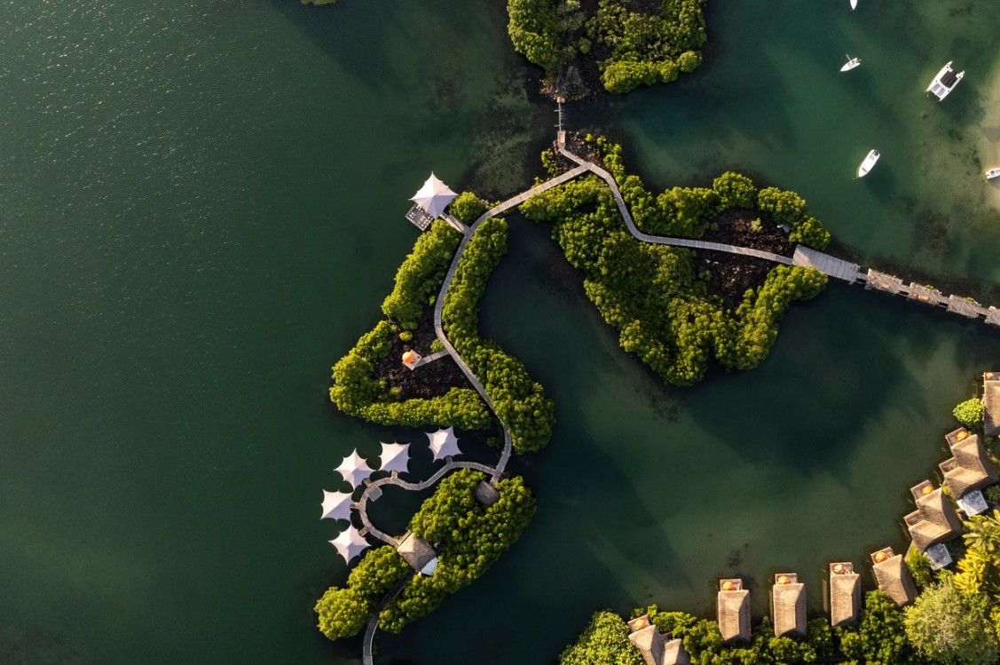 Constance Prince Maurice