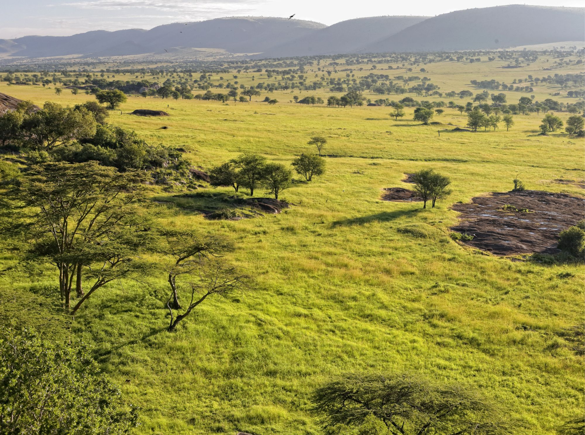 Serengeti-Nationalpark