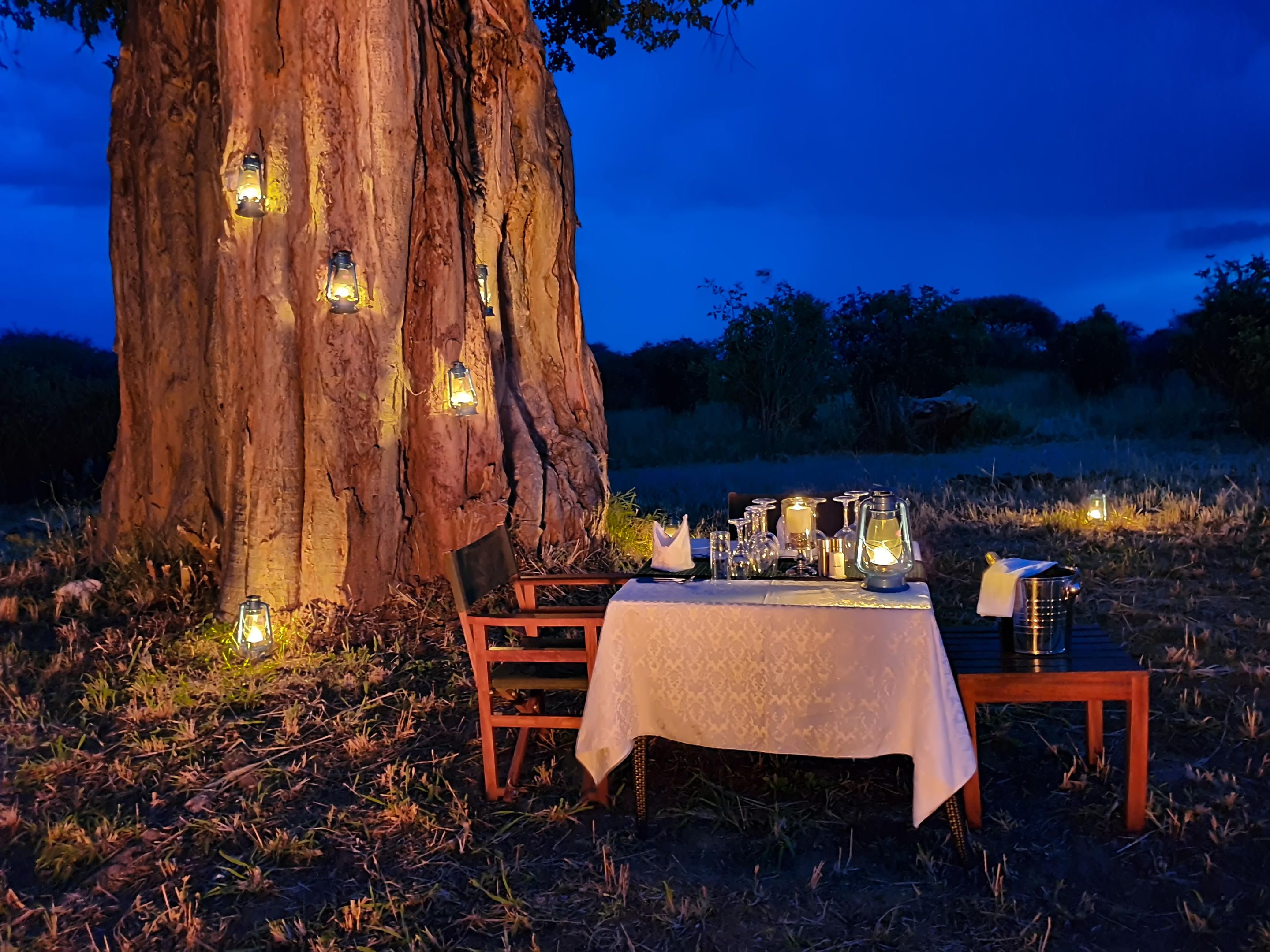 Tansania-Tarangire_Kuro_Tree_Top-Bush_Dinner.jpg