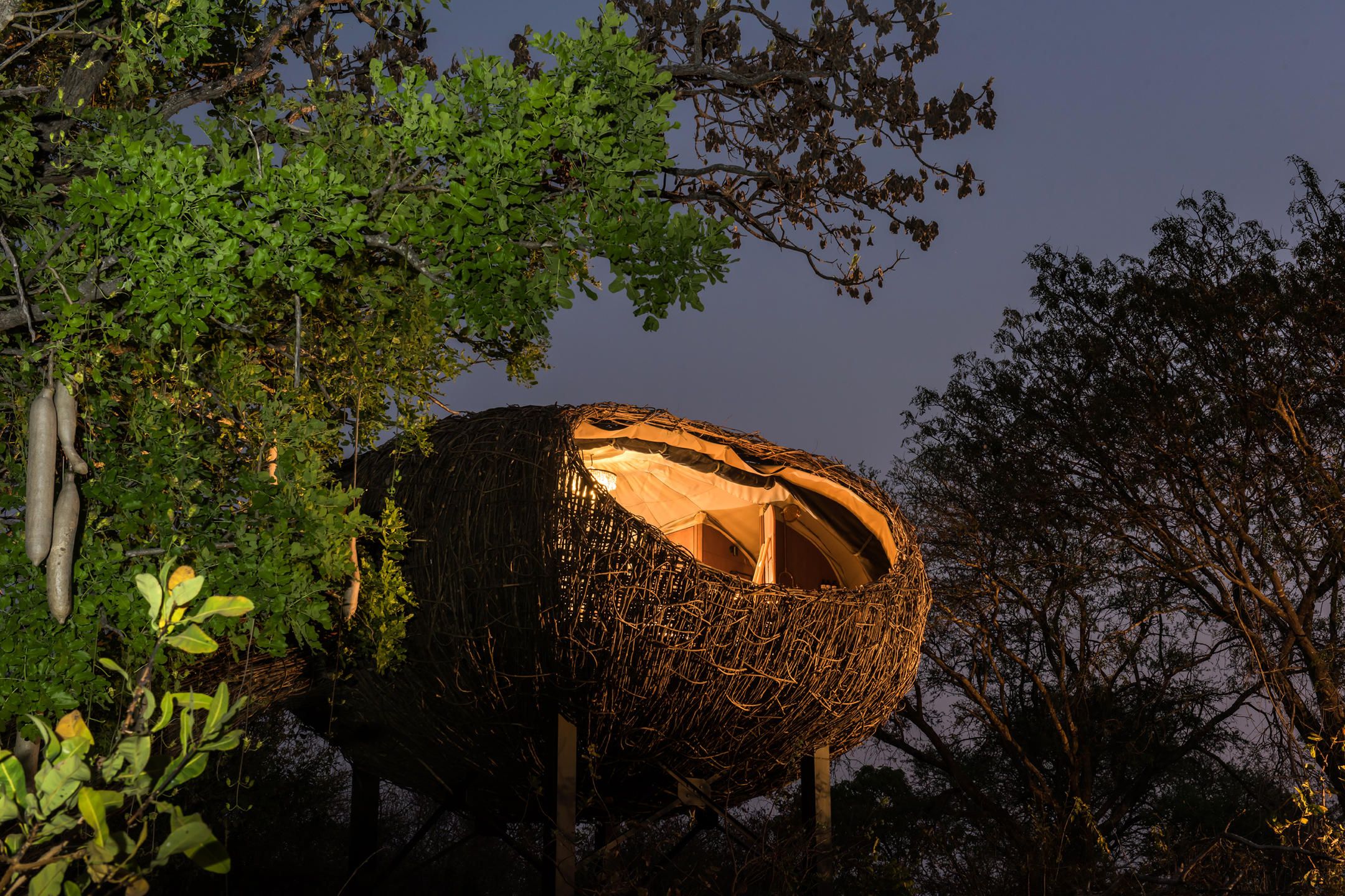 The Nest im Chisa Busanga Camp in Malawi