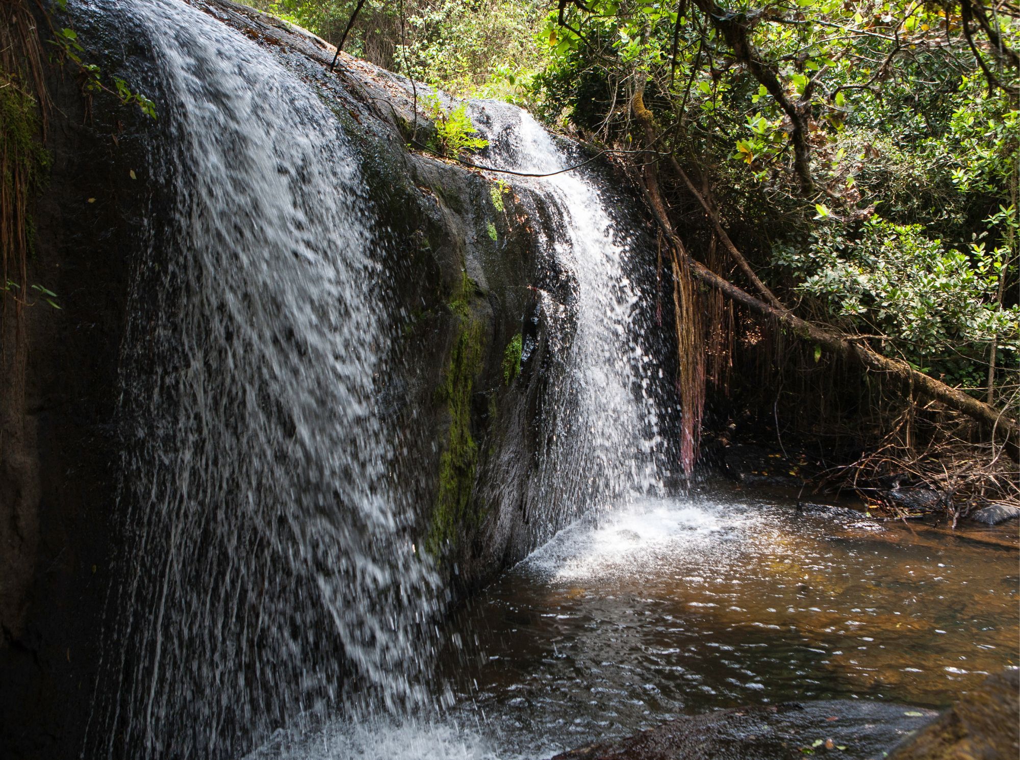 Zomba_Plateau.jpg