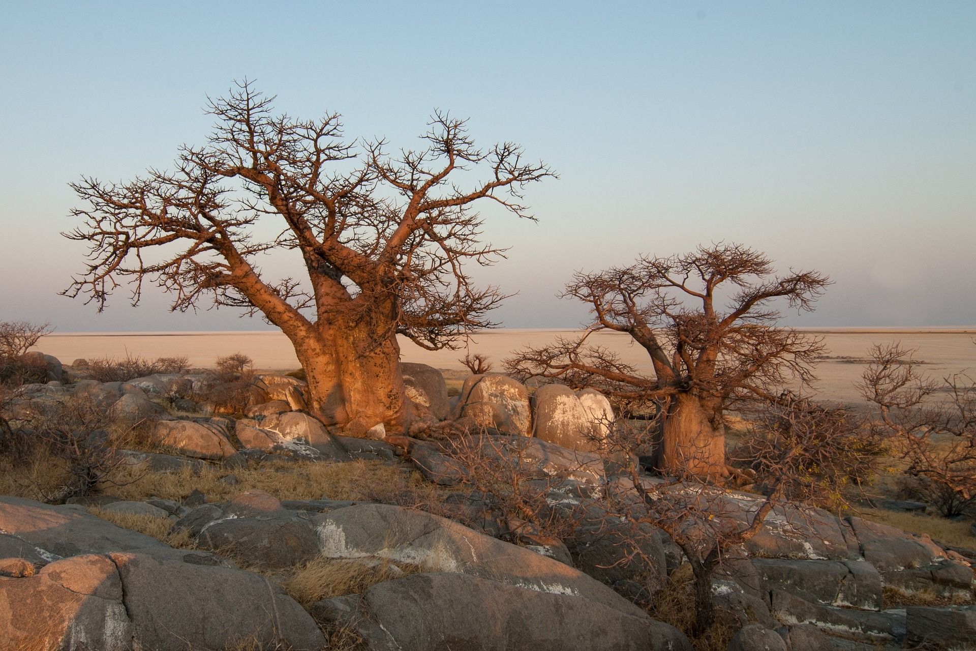 Exklusiv für Sie - Insidertipps für Botswana