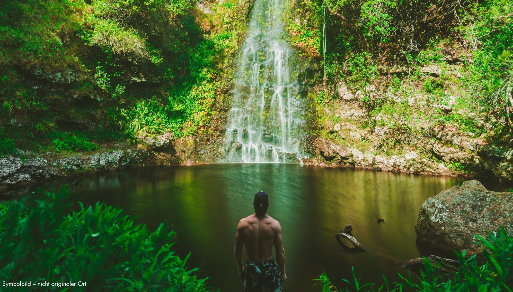 Natürliche Pools