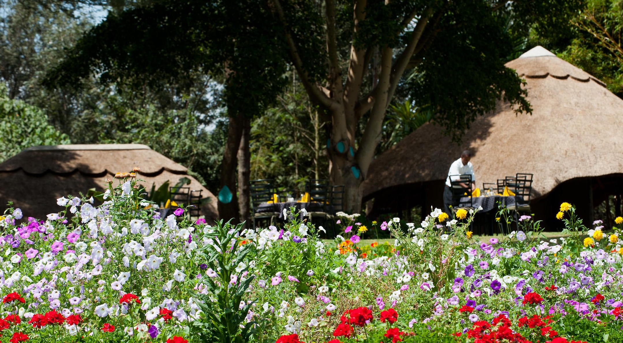 Ngorongoro Farm House Karatu