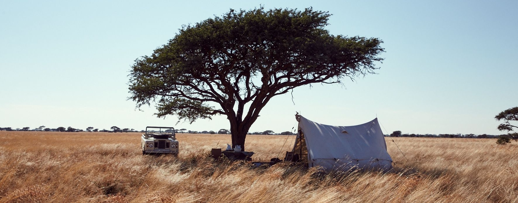 Eine Schirmakazie mit Zelt und Jeep in Afrika
