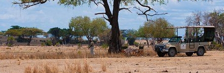 Tansania-safari.jpg