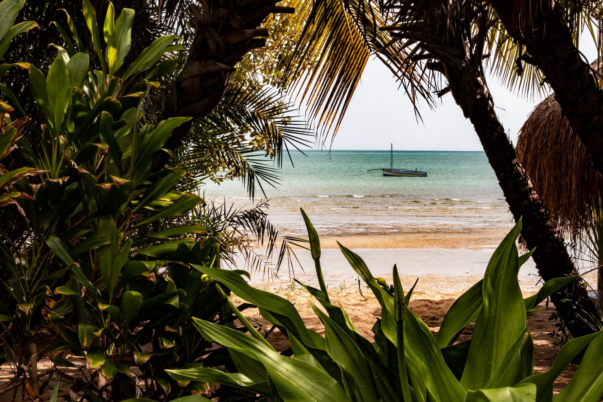 Strand von Mosambik