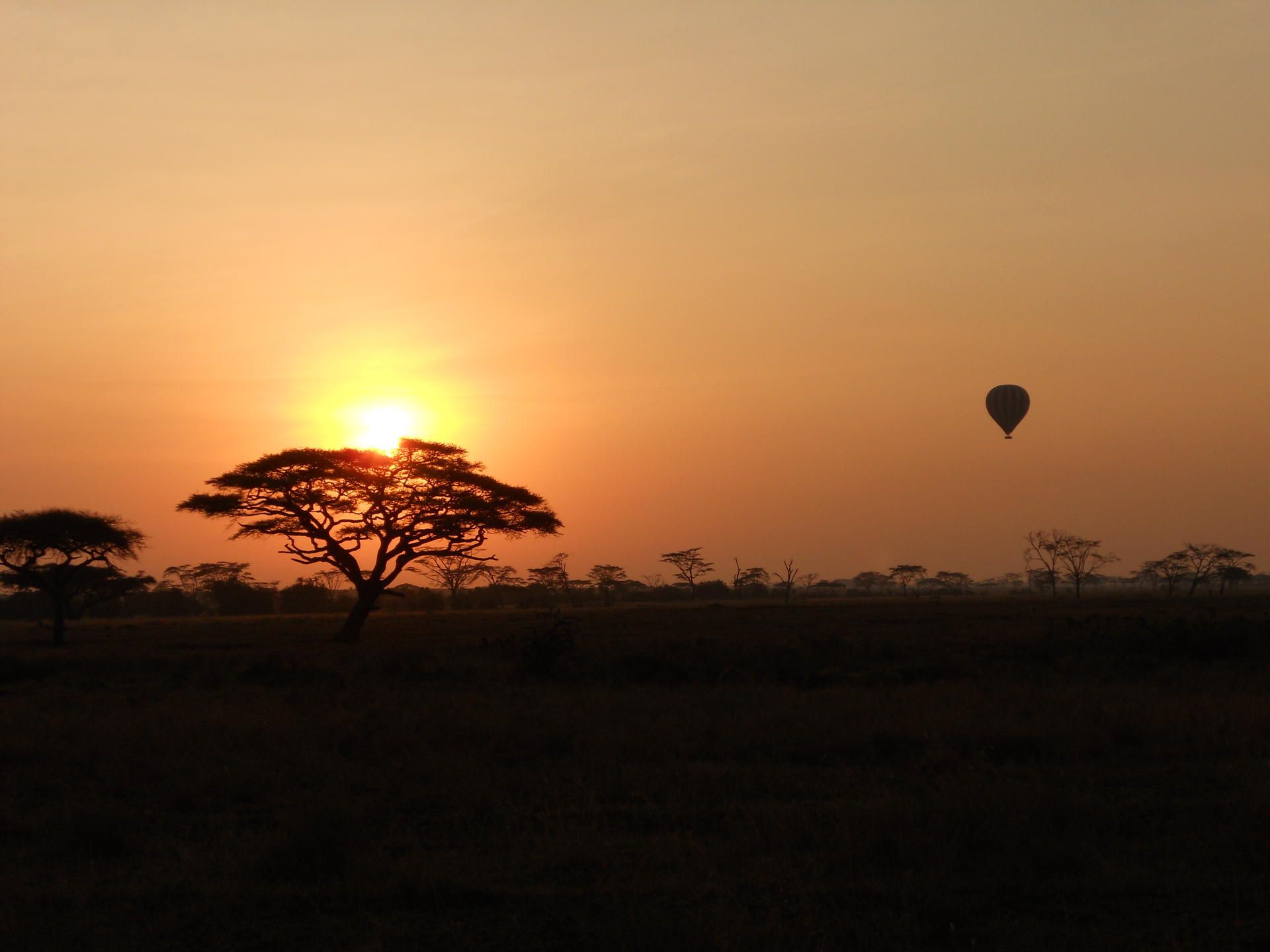 Sonnenuntergang im Serengeti Ndutu Kati Kati Tented Camp