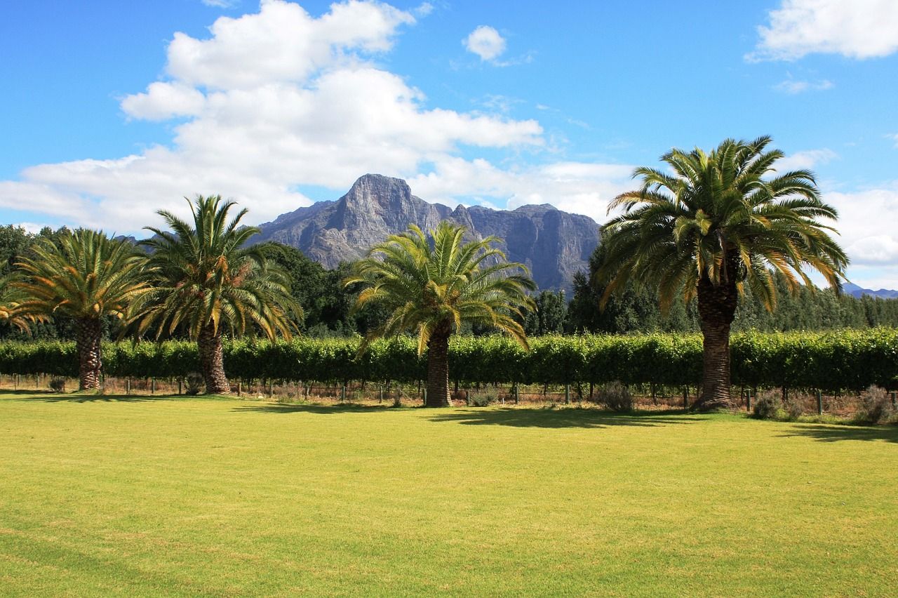 franschhoek-280655_1280.jpg