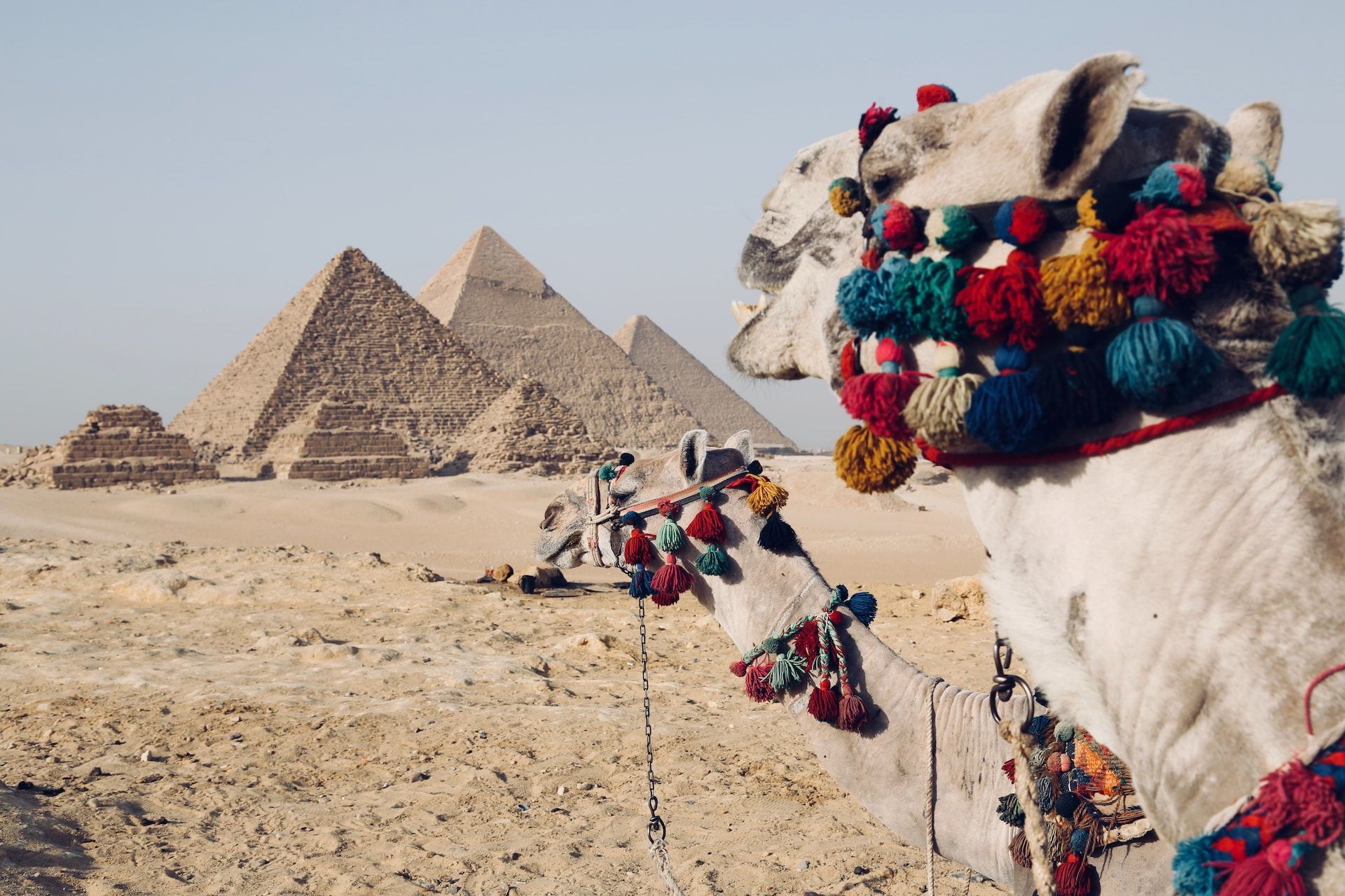 Bildergalerie - Eindrücke von Ägypten
