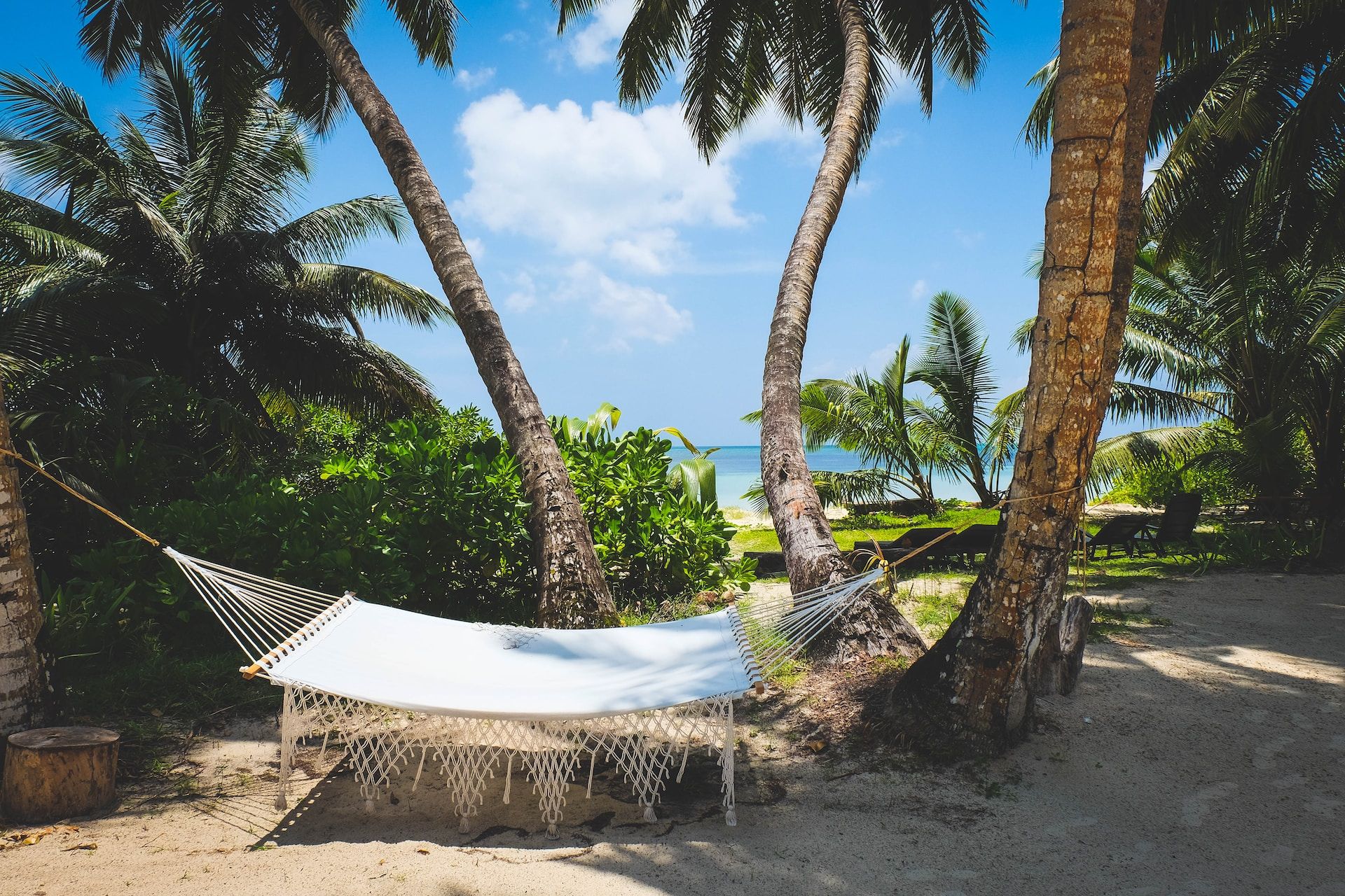 Strand mit Hängematte auf den Seychellen