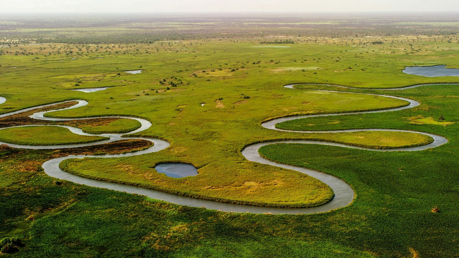 okavango-delta-5158380_1920.jpg