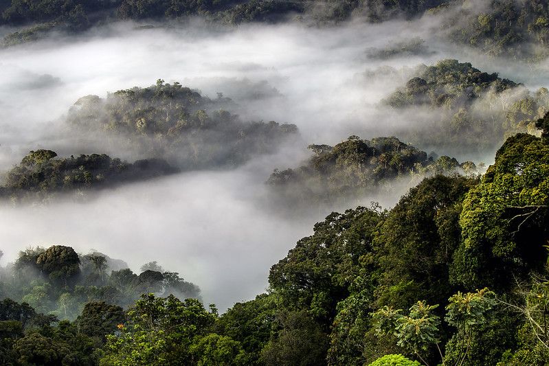 Ruanda - Das Land der tausend Hügel